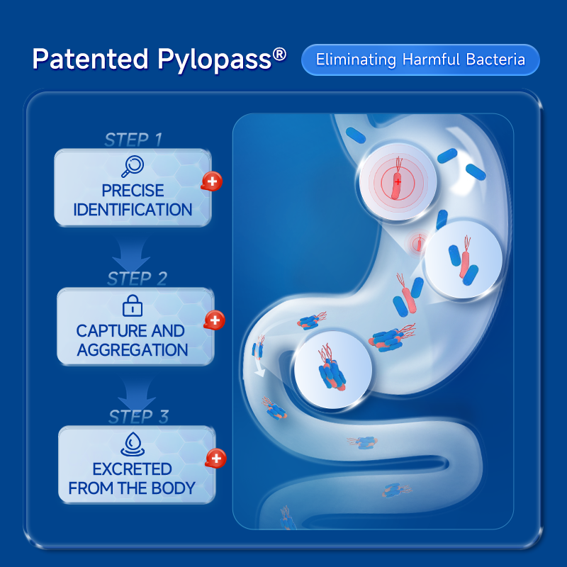 PYLO-X Stomach Repair-30 Capsules