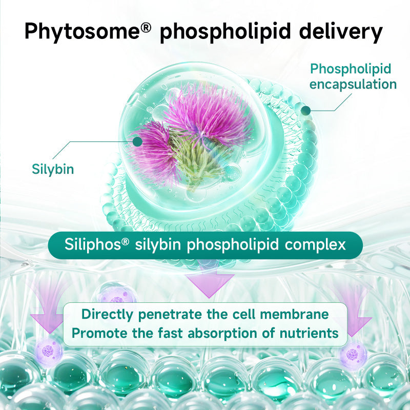 VIKPRO  Leberschutz Plus+