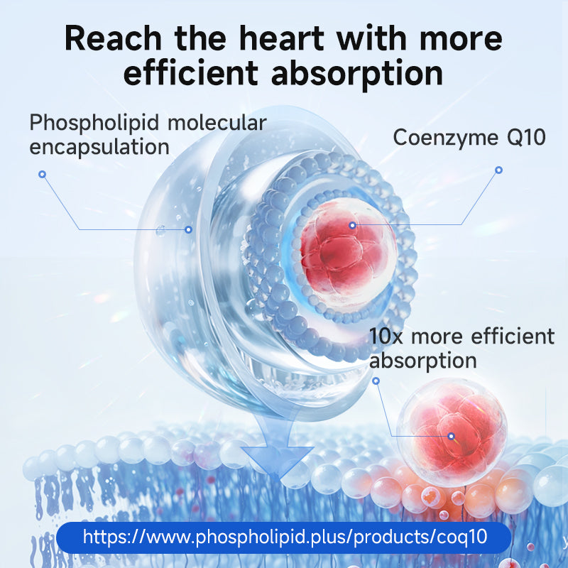 VIKPRO Ubiquinol Q10 Plus+ -30 Sofgels