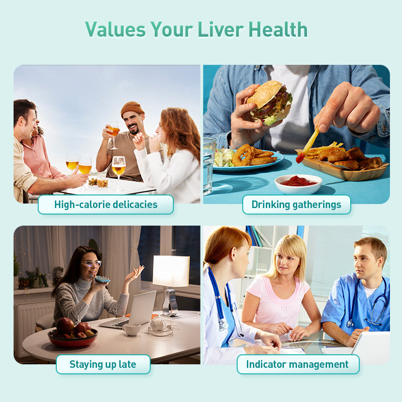 VIKPTO Leber Vital Plus+-60 Softgels